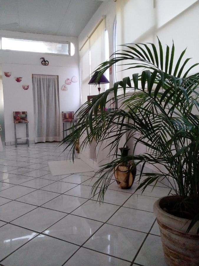 Boutique Basic Hotel Puerto Vallarta Extérieur photo