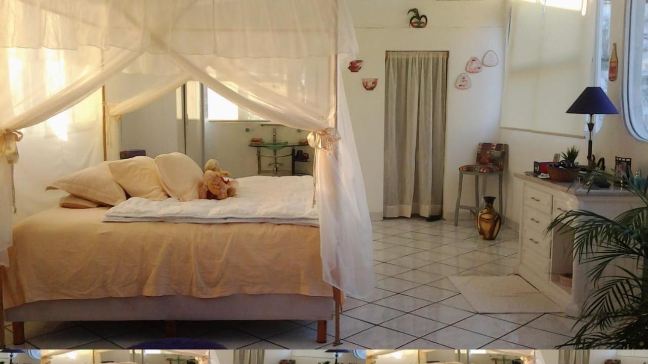 Boutique Basic Hotel Puerto Vallarta Extérieur photo
