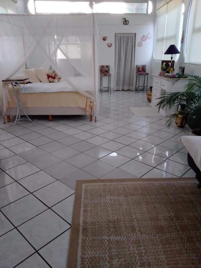 Boutique Basic Hotel Puerto Vallarta Extérieur photo